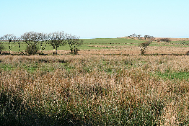 File:North Molton, towards Setta Barrow - geograph.org.uk - 271708.jpg