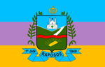 Bandeira raposos.png