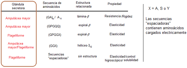 Relación entre secuencia de aminoácidos y estructuras secundarias