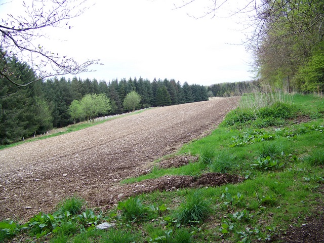 File:Field near Treborough - geograph.org.uk - 1908518.jpg