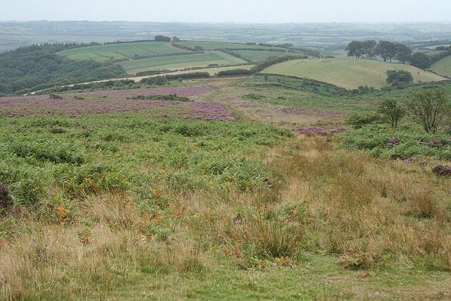 File:Molland, above Anstey's Combe - geograph.org.uk - 223915.jpg