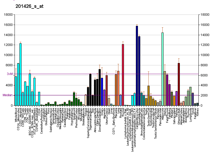 File:PBB GE VIM 201426 s at fs.png