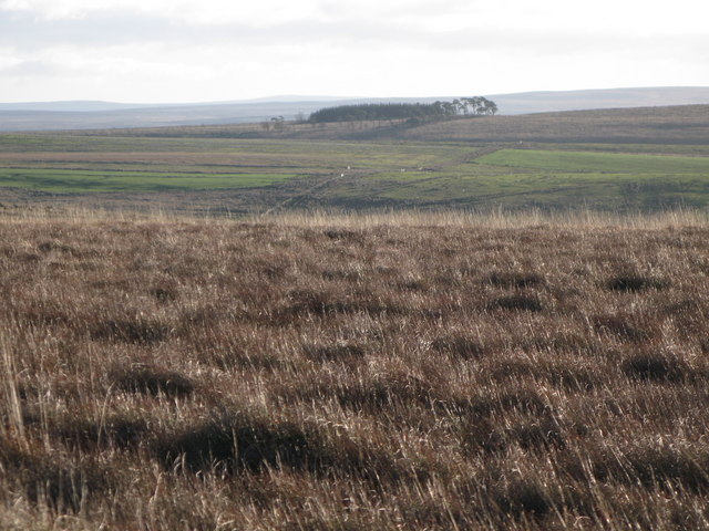 File:Moorland east of Black Rigg - geograph.org.uk - 635004.jpg