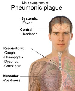 File:Pneumonic plague.jpg