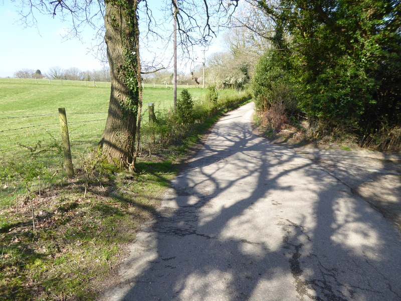 File:Footpath and access road by fields - geograph.org.uk - 5334203.jpg