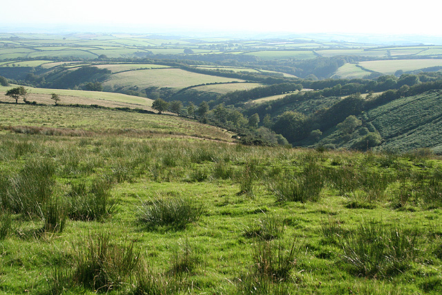 File:North Molton, on Fyldon Common - geograph.org.uk - 533282.jpg