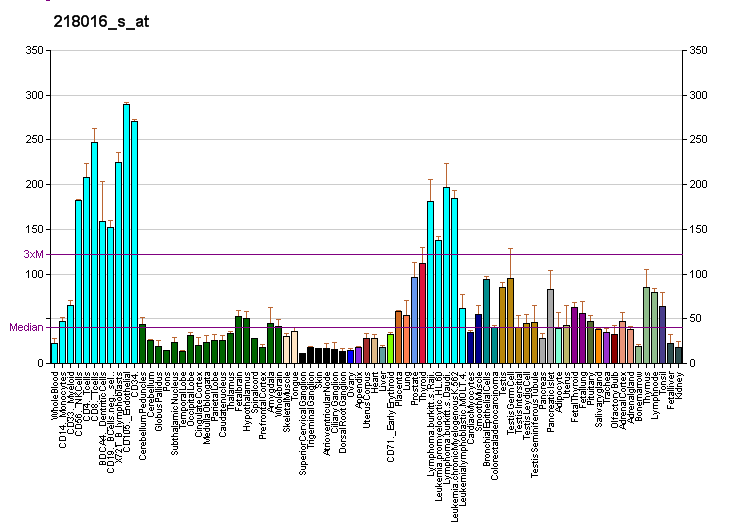 File:PBB GE POLR3E 218016 s at fs.png