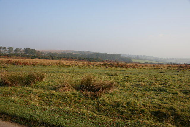 File:Open land on South Hill - geograph.org.uk - 973919.jpg