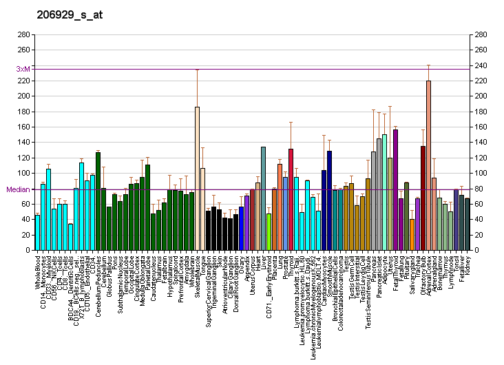 File:PBB GE NFIC 206929 s at fs.png