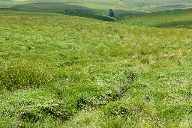 File:Land Combe - geograph.org.uk - 1986181.jpg