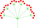 Doppeldolde