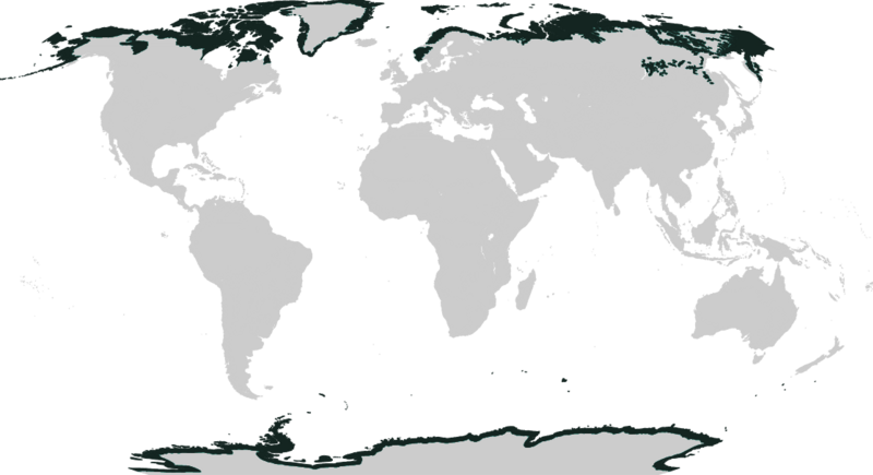 File:Biome map 11.png