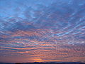 Altocumulus at sunset