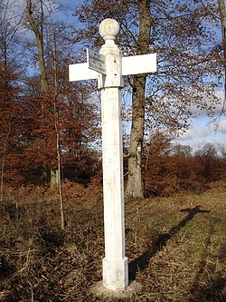 Image illustrative de l’article Forêt de Compiègne