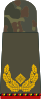 Brigadegeneral (pensiunan)