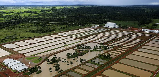 Ribarski kompleks, pored Rio Branka, Brazil