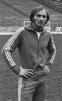 Roger Van Gool bij het Belgisch voetbalelftal (1977)