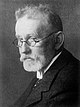 Paul Ehrlich