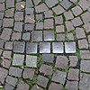 Stolpersteine für Familie Elsberg