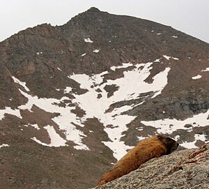 Mount Bierstadt