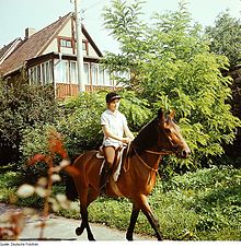 Image d'une cavalière allemande en 1977.