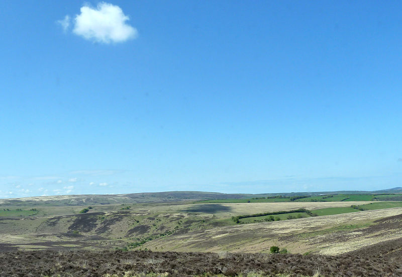 File:Exmoor 08 (4652817476).jpg