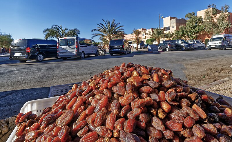 File:"Am Rand der Sahara". 03.jpg