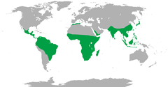 Distribuição geográfica dos primatas não humanos.