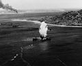 A Japanese freighter in Truk Atoll is hit by a torpedo dropped from a VT-10 Avenger, 17 February 1944. Including the ground-breaking night attack of 16-17 February, Enterprise CV-6's Torpedo Ten accounted for one third of the total shipping destroyed by the Task Force 58 attack on Truk Atoll.