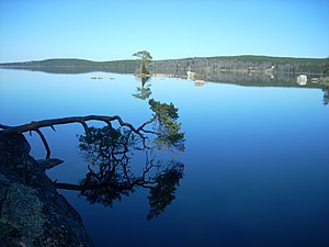 Vy från naturreservatet på Torpön.