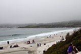 Carmel Bay on a foggy afternoon