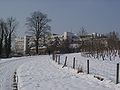 Centre de biologia de la Universitat de Hohenheim