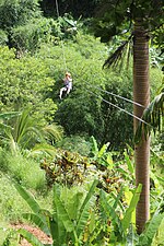 Tyrolienne dans la forêt nationale de Tanamá d'Utuado