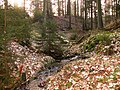 Der Ohrn-Quell­bach bei Mainhardt-Bubenorbis