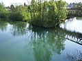 Zusammenfluss der Kleinen und Großen Erlauf