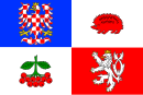 Drapeau de Région de Vysočina