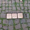 Stolpersteine für Familie Spiegel