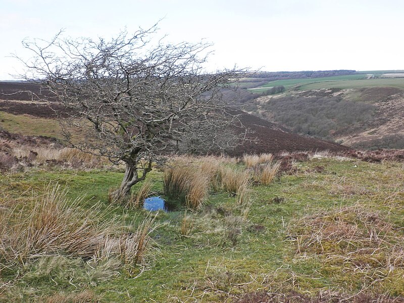 File:Above Weir Water valley - geograph.org.uk - 3926335.jpg