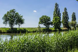 Altmainschleife Süd mit Naturschutzgebiet Alter Main bei Bergrheinfeld und Grafenrheinfeld