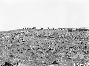 4th Light Horse Regiment at Kaukab