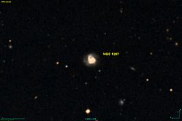 NGC 1287