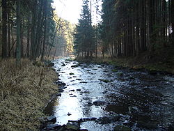 Žirovnice u Kamenného Malíkova