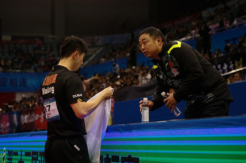 File:Liu Guoliang Ma Long ATTC2017 7.jpeg