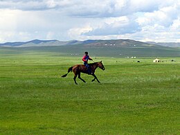 Mongolia stepo.