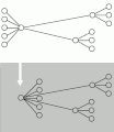 Network topology recognize.gif