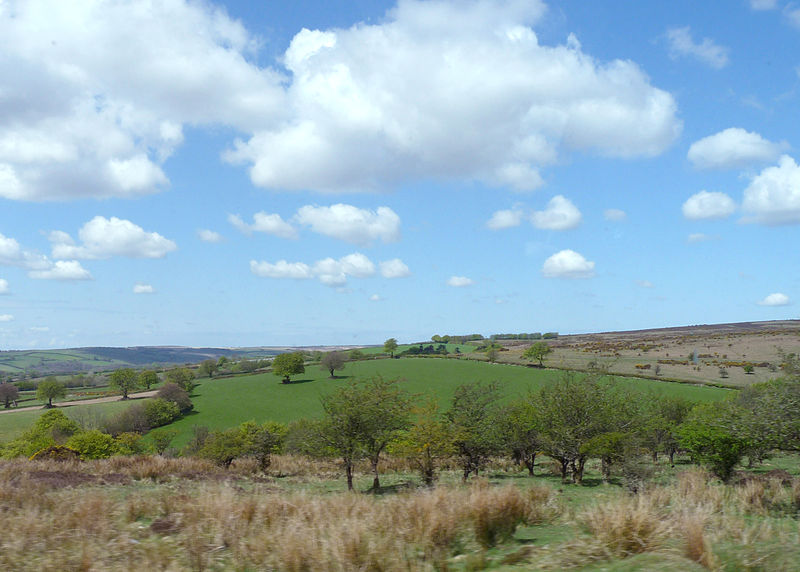 File:Exmoor 02 (4652811870).jpg