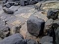 Petroglifos en Playa Sardinata, Amazonas, Venezuela.
