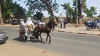 Taxi-calèche.