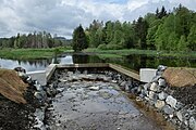 Mai 2015 Anstaubauwerk am Ende der Renaturierungsarbeiten