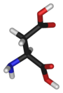 Chemical structure of Asam aspartat